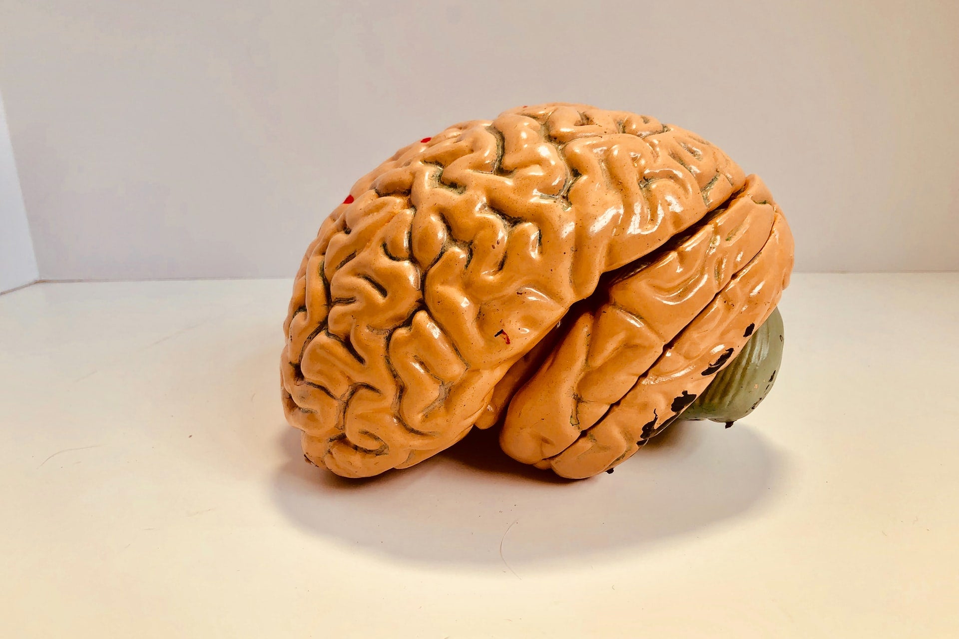Treating Alzhimer's With Ayurveda