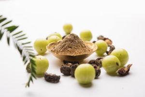 Ayurvedic Herbs that are Beneficial for Women's Health