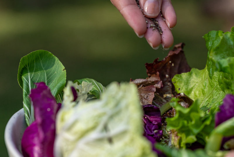 Helpful Herbs and Teas for Body Detoxification