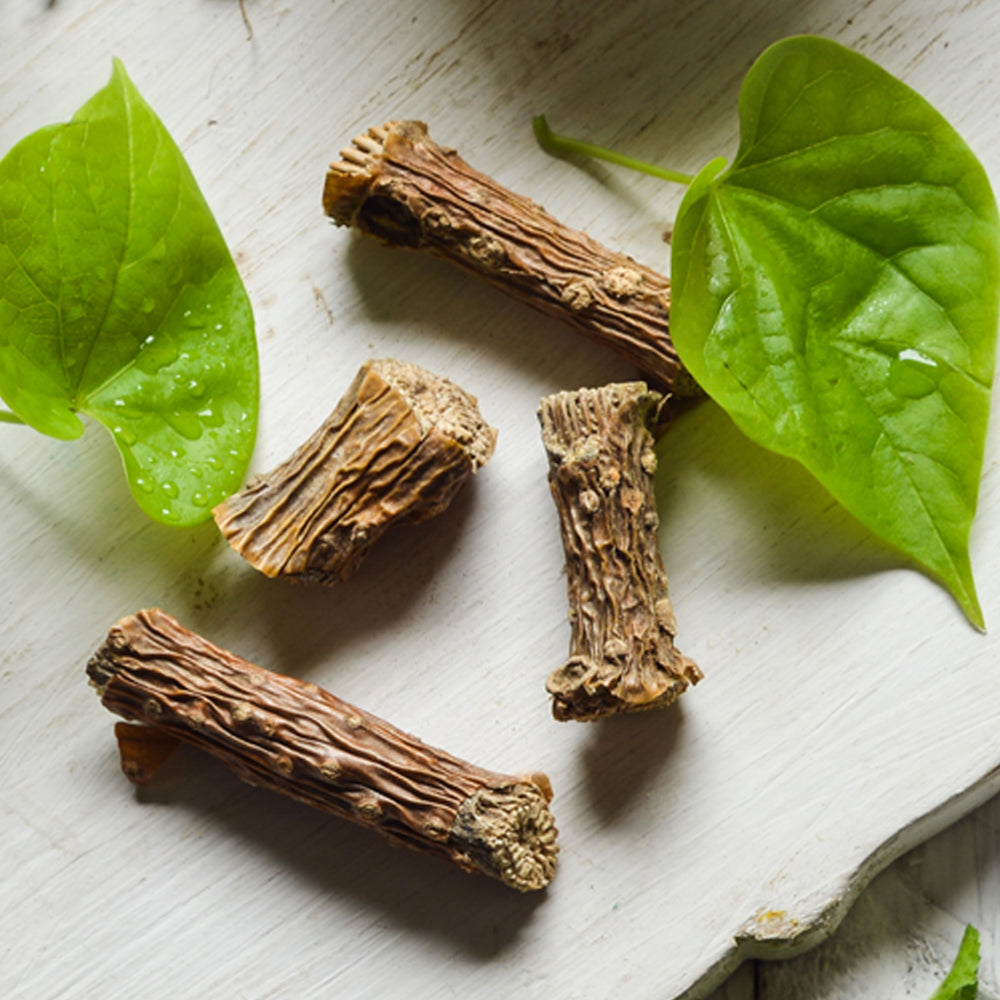 Amruta of Ayurveda – Guduchi (Heart Leaved Moonseed)