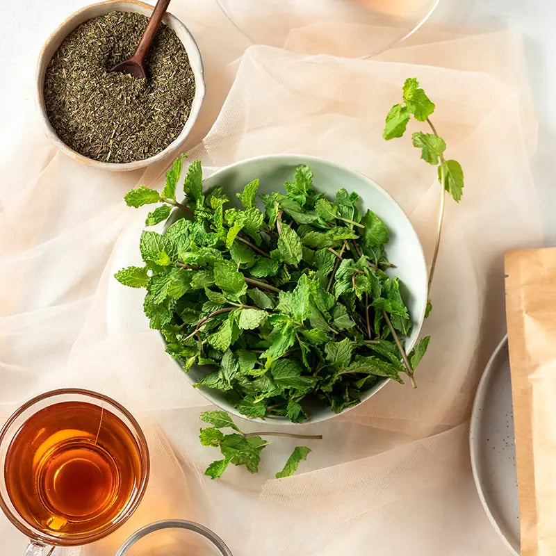 Mint Herbal Tea Bags