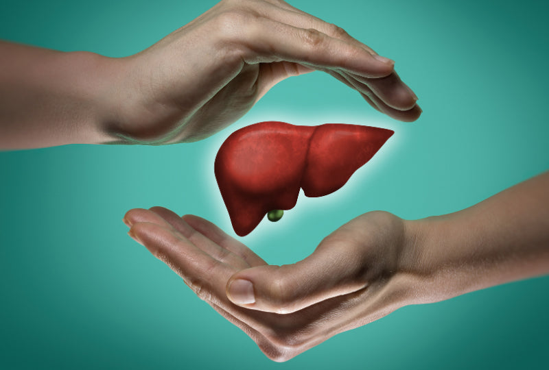 Ayurvedic Treatment For Your Liver Health
