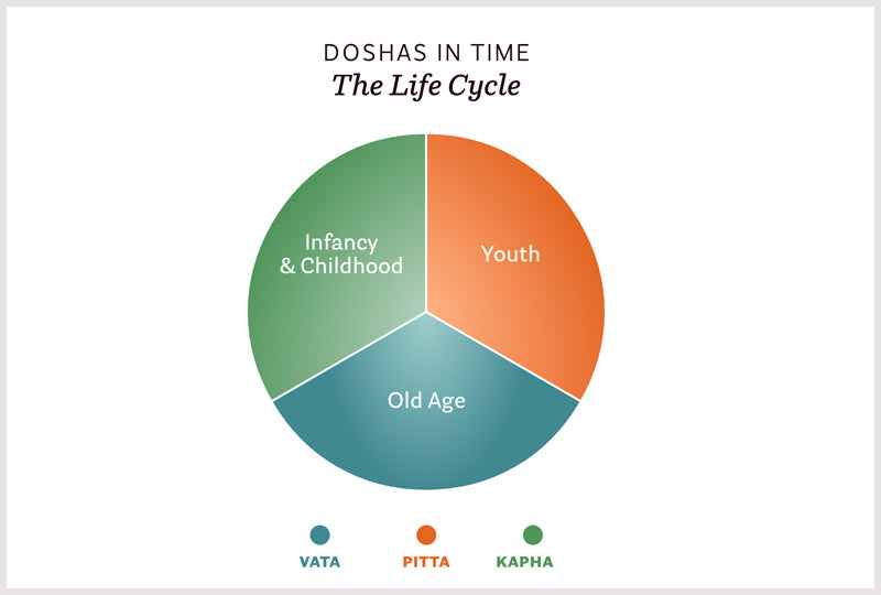 Doshas in our life cycle